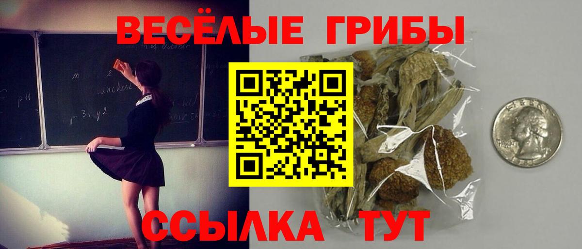 Клинцы  Псилоцибиновые грибы мицелий  Вход с VPN 